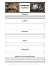 Kaninchen-Steckbriefvorlage.pdf